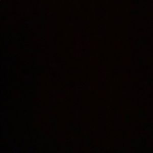 Meet your Posher, Oscar